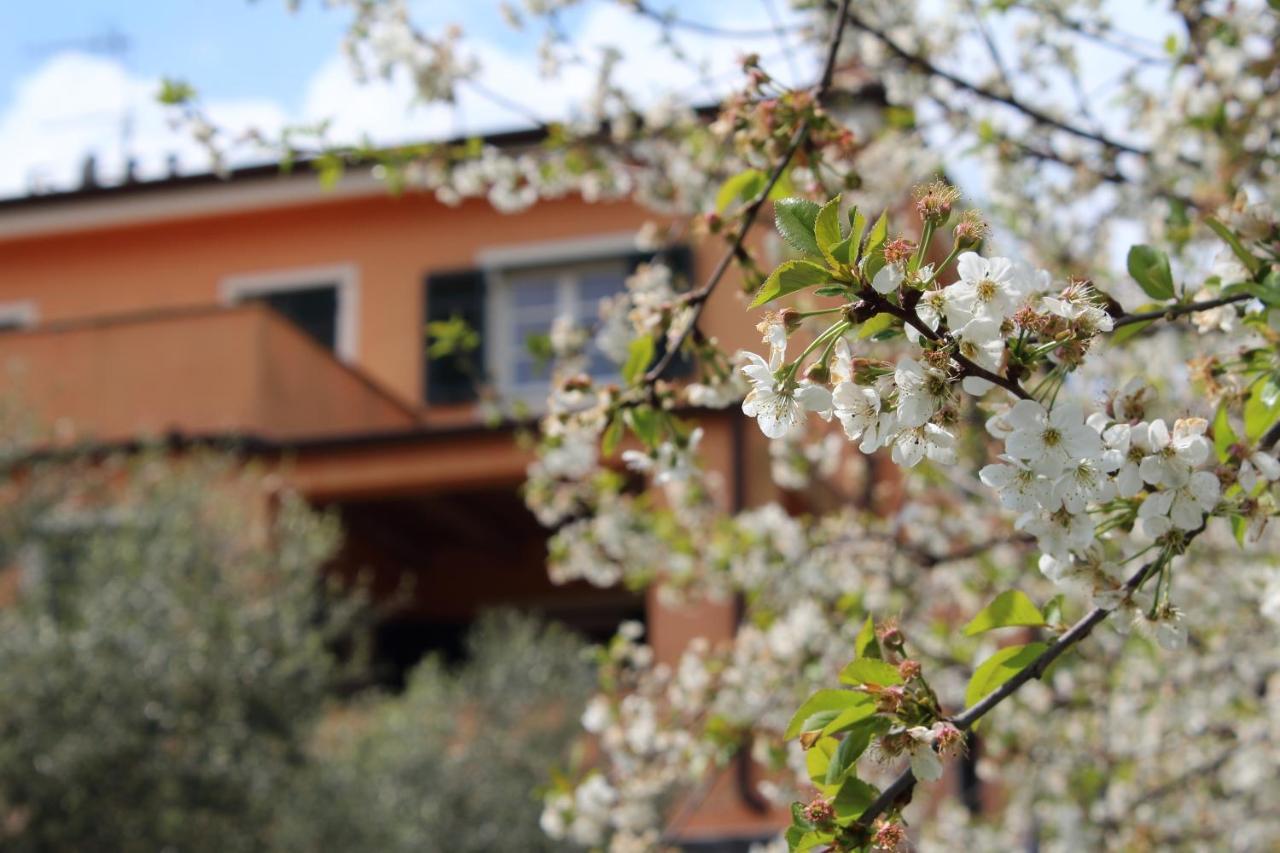 לבנטו Villa Arancia Quiet, Central, Parking And Air Conditioning מראה חיצוני תמונה